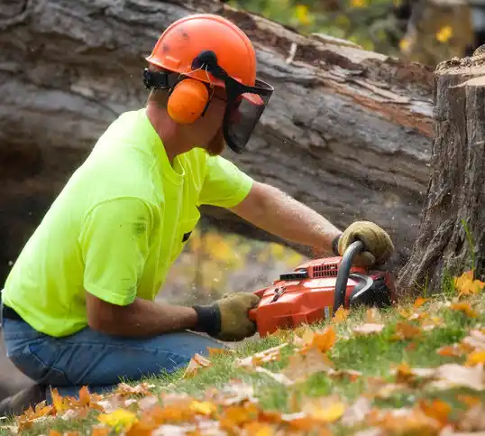 tree services Flat Lick